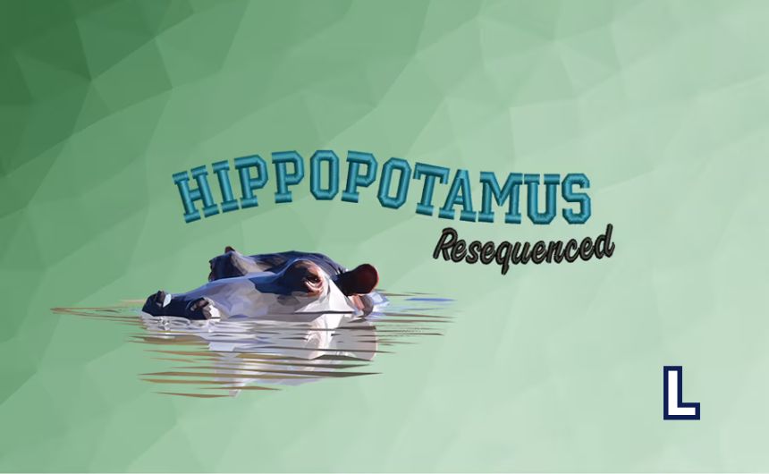 Wilcom ES　2025　レタリング