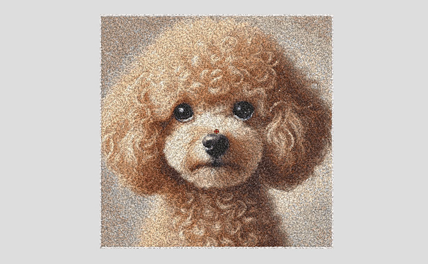 Wilcom ES　カラーフォトステッチ